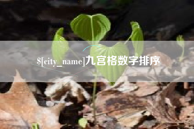义乌九宫格数字排序
