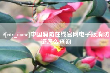 义乌中国消防在线官网电子版消防证怎么查询
