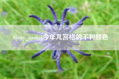义乌今年九宫格的不利颜色