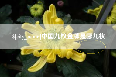 义乌中国九枚金牌是哪九枚