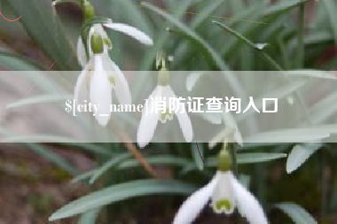 义乌消防证查询入口