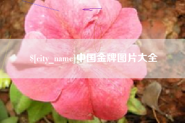 义乌中国金牌图片大全