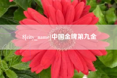 义乌中国金牌第九金