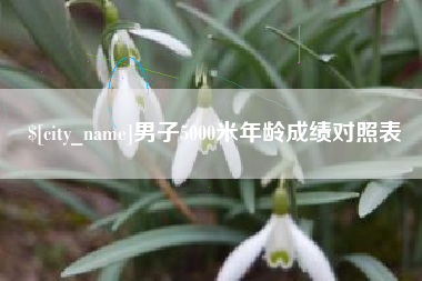 义乌男子5000米年龄成绩对照表