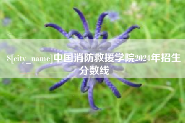 义乌中国消防救援学院2024年招生分数线
