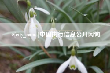 义乌中国执行信息公开网询