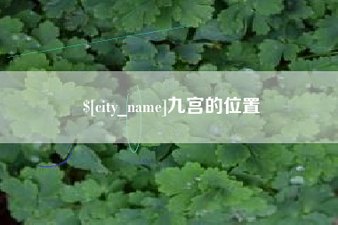 义乌九宫的位置