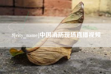 义乌中国消防现场直播视频