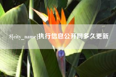 义乌执行信息公开网多久更新