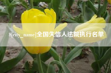 义乌全国失信人法院执行名单