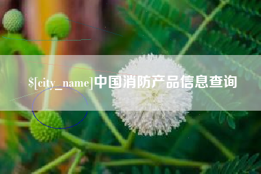 义乌中国消防产品信息查询