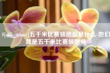 义乌五千米比赛领跑员是什么-他们就是五千米比赛领跑员
