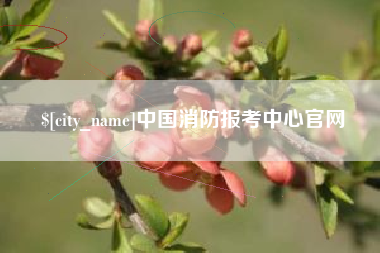 义乌中国消防报考中心官网