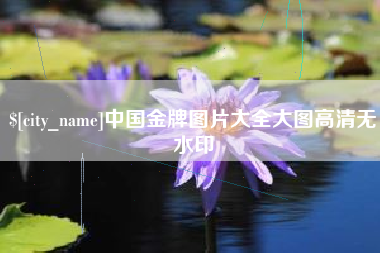 义乌中国金牌图片大全大图高清无水印