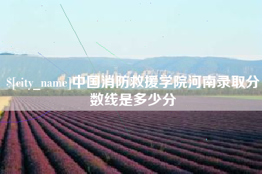 义乌中国消防救援学院河南录取分数线是多少分