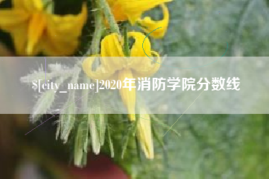 义乌2020年消防学院分数线