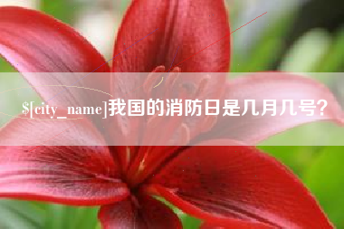 义乌我国的消防日是几月几号？