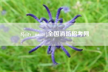 义乌全国消防招考网