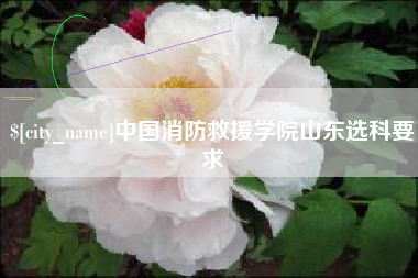 义乌中国消防救援学院山东选科要求