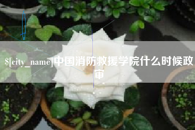 义乌中国消防救援学院什么时候政审