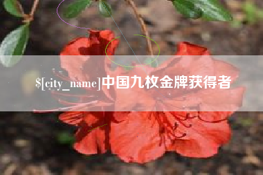 义乌中国九枚金牌获得者