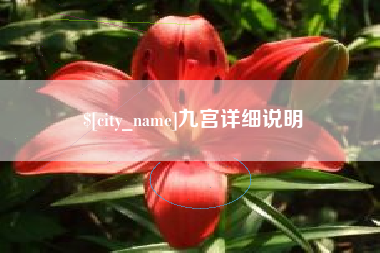 义乌九宫详细说明