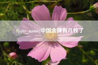 义乌中国金牌有几枚了