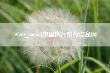 义乌中国执行执行信息网