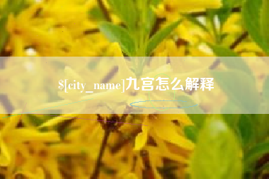 义乌九宫怎么解释