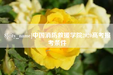 义乌中国消防救援学院2020高考报考条件