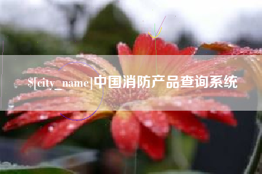 义乌中国消防产品查询系统