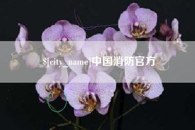 义乌中国消防官方