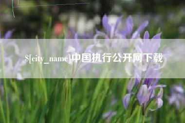 义乌中国执行公开网下载