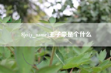 义乌王子豪是个什么