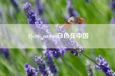 义乌白色在中国