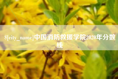 义乌中国消防救援学院2020年分数线