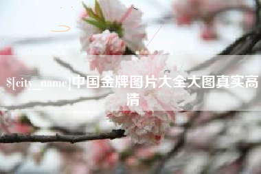义乌中国金牌图片大全大图真实高清