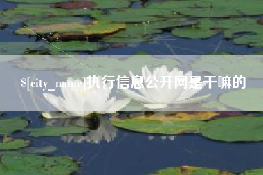 义乌执行信息公开网是干嘛的