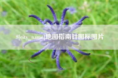 义乌地图指南针图标图片
