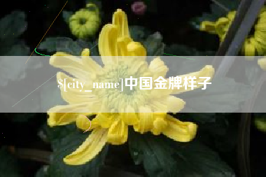 义乌中国金牌样子
