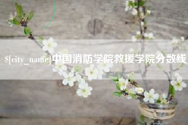 义乌中国消防学院救援学院分数线