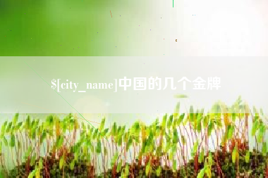 义乌中国的几个金牌