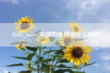 义乌中国的金牌是什么样的