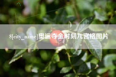 义乌奥运夺金时刻九宫格图片