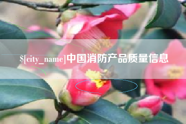 义乌中国消防产品质量信息