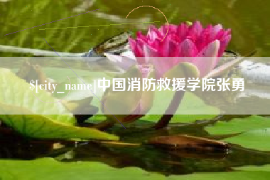 义乌中国消防救援学院张勇