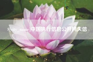 义乌中国执行信息公开网失信