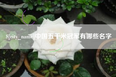 义乌中国五千米冠军有哪些名字