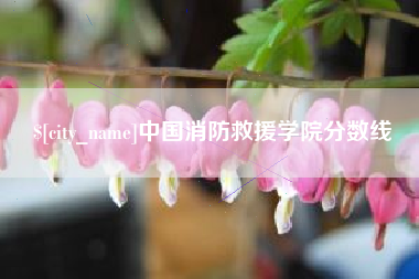 义乌中国消防救援学院分数线