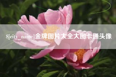 义乌金牌图片大全大图卡通头像